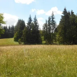 Hébergement de vacances De La Montagne D'ance, Chastreix